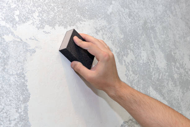 Best Dehumidification Services  in Milam, TX