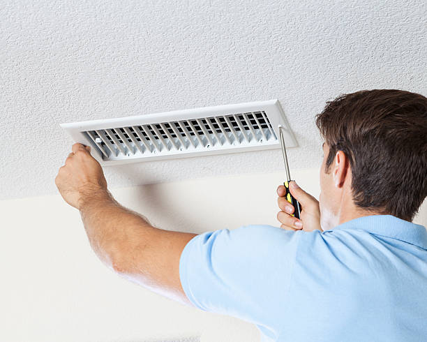 Best Environmental Consulting for Mold Prevention  in Milam, TX